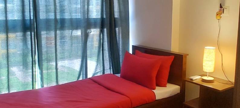 No Fixed Address图片