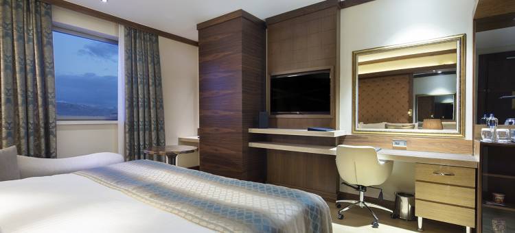科尼亚千禧大酒店(Grand Millennium Konya)图片
