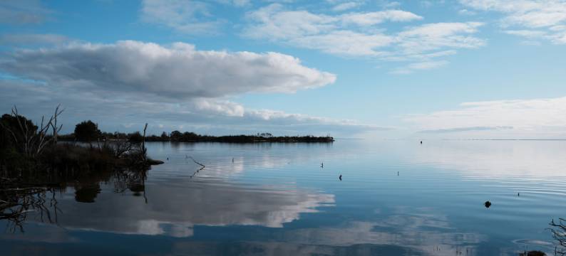罗塞尼斯半岛度假村(Roseneath Holiday Park)图片