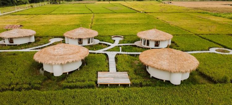 Na Bua Villa Chiangrai图片