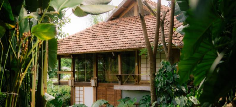 Harmony Botanical Garden Stay - 300 Plant Species, Natural Stream and Small Pool图片