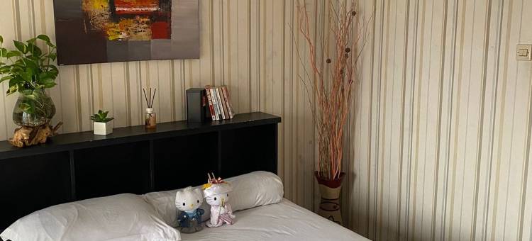 MOZA HOUSE Wonosobo图片