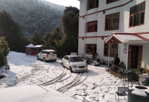 THE JUNGLE STORY BY HEADQUARTER Hotel Overview