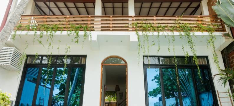 Parasol Doré = 金色阳伞(Parasol doré)图片