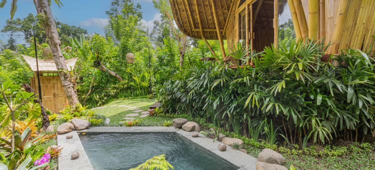 Arcada巴厘竹屋(Arcada Bali Bamboo House)图片