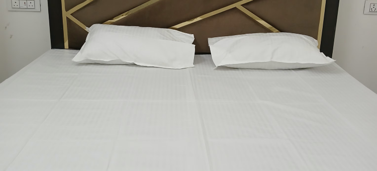 阿瓦德比哈里旅馆(Awadh Biharee Inn)图片