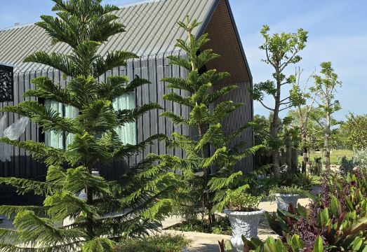 Le Kabin Hotel Overview