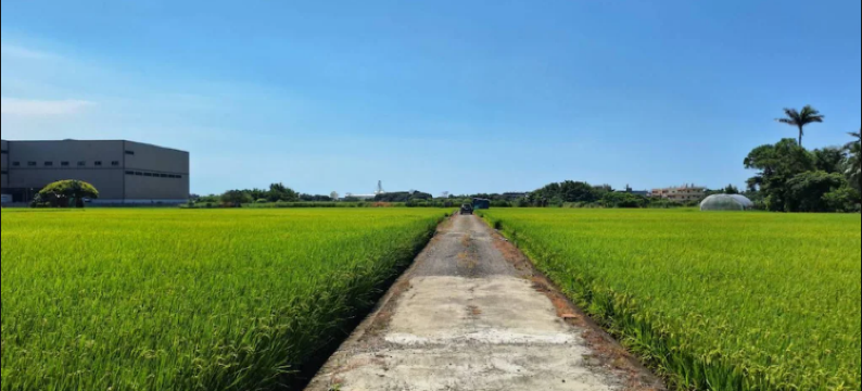 万遂 all the best | 近桃园机场、高铁华泰名品城、芦竹台茂图片