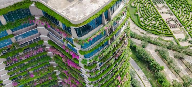 Forest City Eco Stay图片