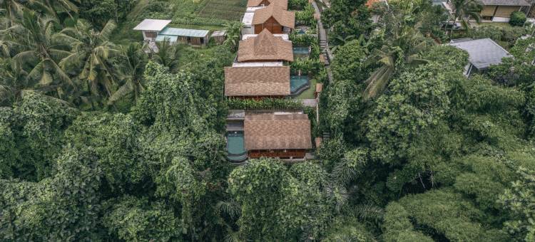 乌布梦幻别墅 - 佩图鲁(Ubud Dream Villas)图片