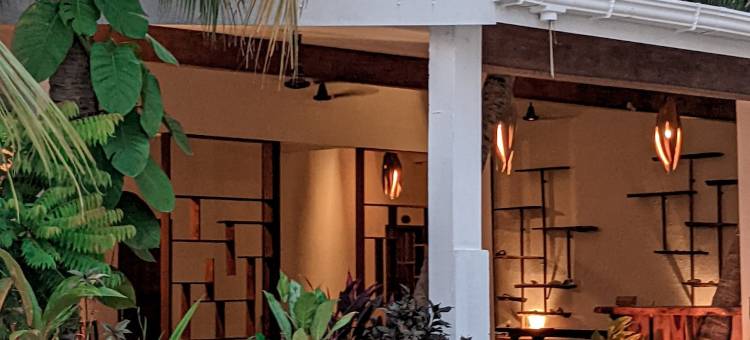图鲁斯杜多阿迪度假酒店(Dhoadhi Retreat Thulusdhoo)图片