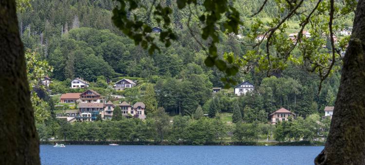 湖庄园酒店(Hotel Manoir au Lac)图片