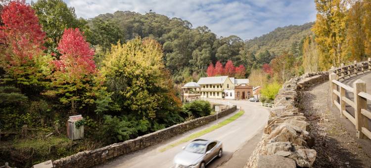 瓦尔哈拉之星酒店(Walhalla's Star Hotel)图片