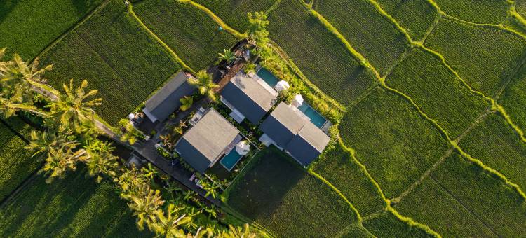 The Sammira Ubud Villa图片