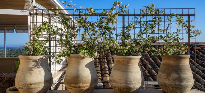 Noto Da Quassù放松B&B(Panorama Suites Noto - Adults Only)图片