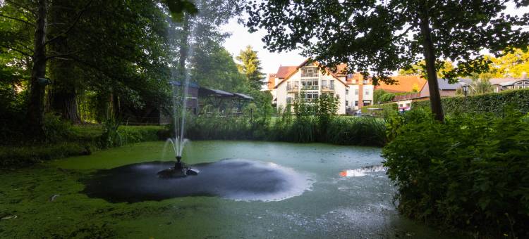 安姆阿尔登厄辛餐厅酒店(Hotel & Restaurant Am Alten Rhin)图片
