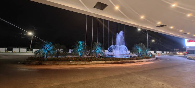 皇家国际酒店(Royal International Hotel)图片