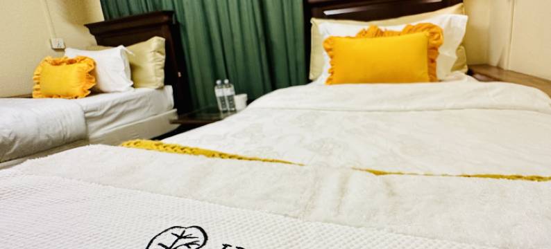 达尔文酒店(Hotel Darwin)图片