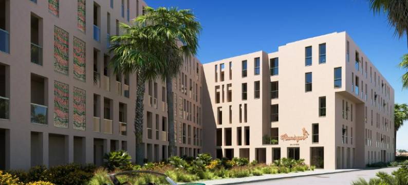 Flamingos Salgados图片