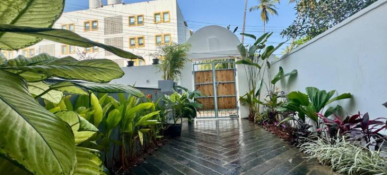 半梅拉(Mela By HALF)图片