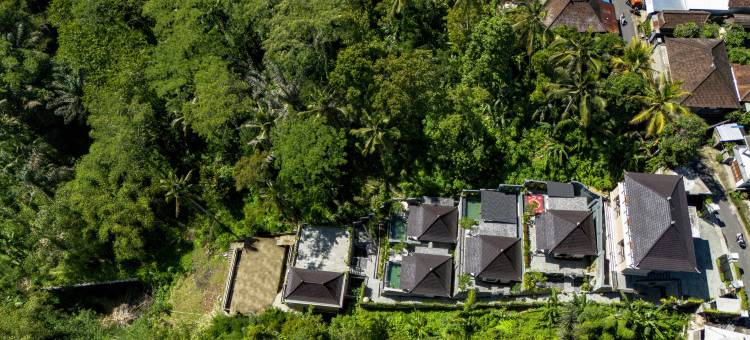 Ellena Hilltop Resort Tegallalang by Dhananjaya Hospitality图片