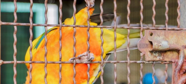 莱特豪斯度假村(兰岛)(The Light House Resort Kohlarn)图片