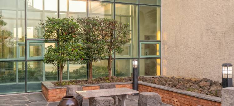 Ihopony Hotel jeju图片