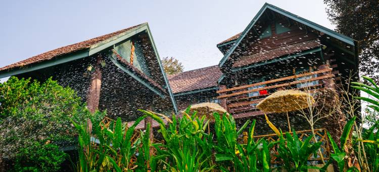Ben’ house Lanna Villa图片