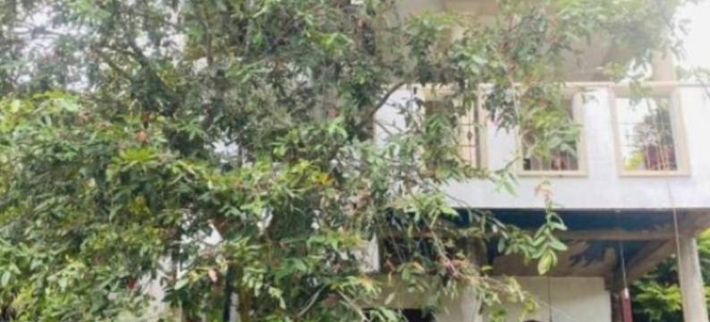 Harbour Bay Anex Tangalle图片