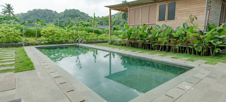 Terra Clementia图片