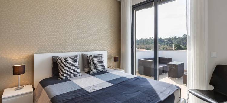 豪华别墅配有私人游泳池(Villa near Obidos Lagoon and Surf Beaches)图片