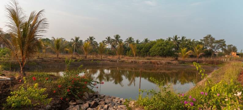 Saiprasad塔多巴虎度假村(Saiprasad Tiger Resorts - Tadoba)图片