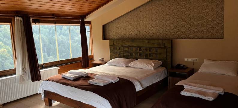 艾德尔酒店(Ayder Hotel)图片