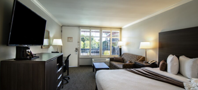 棕榈树花园酒店(Palm Garden Hotel)图片