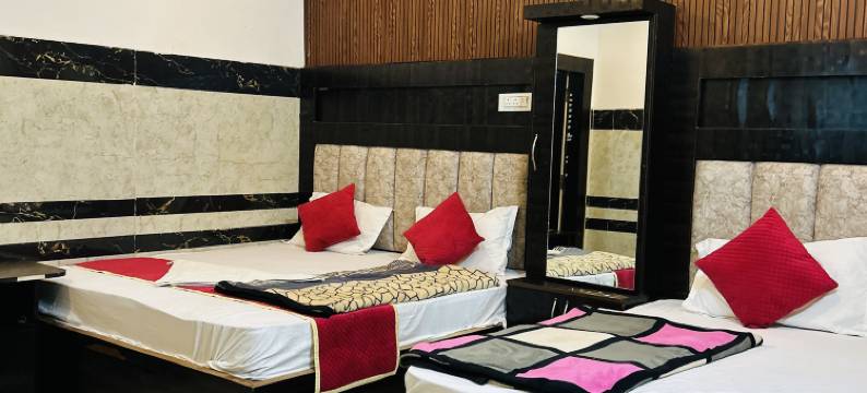 豪华宫殿酒店 弗林达文(Hotel Luxury Palace Vrindavan)图片