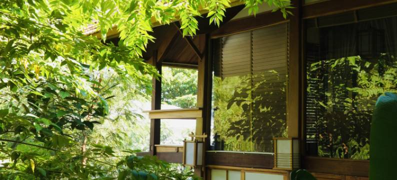 Harmony Botanical Garden Stay - 300 Plant Species, Natural Stream and Small Pool图片