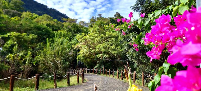 金边特本度假村(Phnom Tbeng Resort)图片