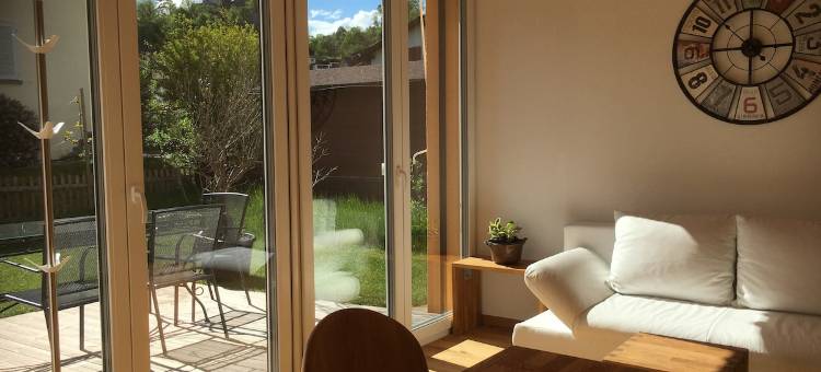 Modern guest suite with terrace, hot tub, sauna图片