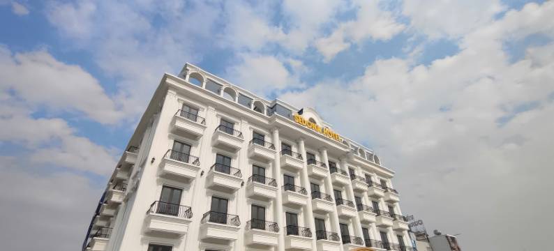 塞多纳酒店越安(SEDONA Hotel Viet Yen)图片