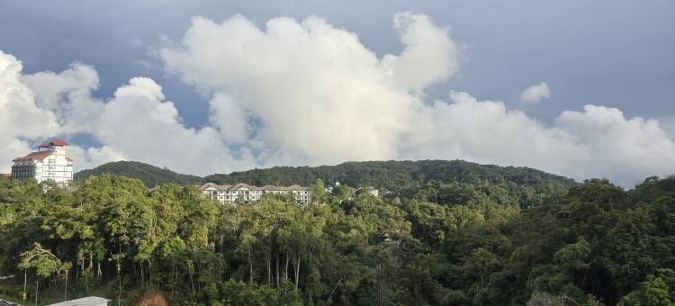 The Highland Hive图片