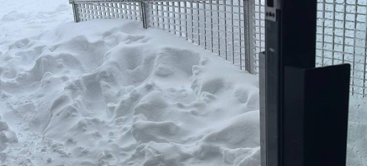 Hotham Central Ski Out Studio w/ pool, spa & sauna图片