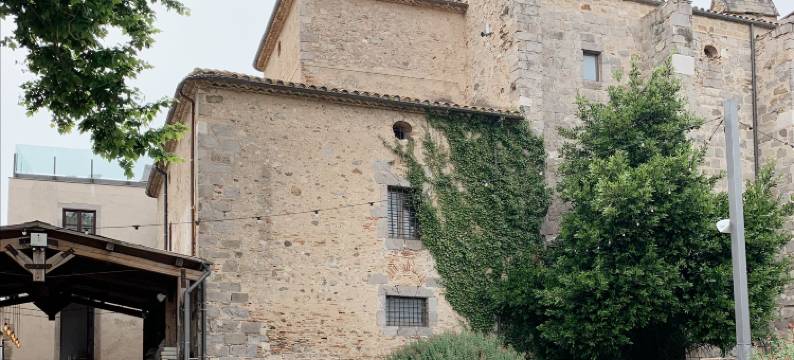 帕劳马切利酒店(Hotel Palau Macelli)图片
