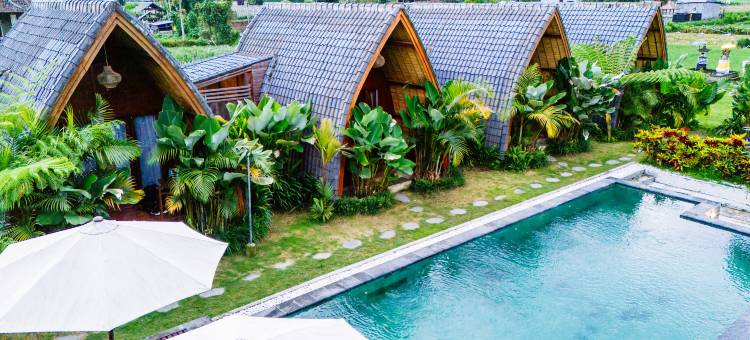 金塔马尼的火山口别墅(The Caldera Villas Kintamani)图片