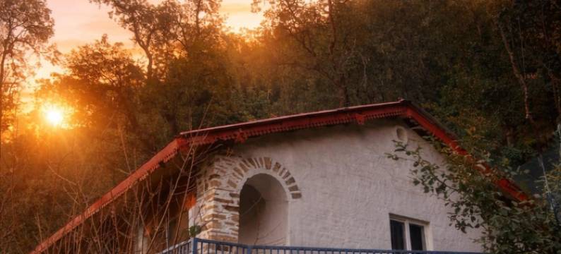 塔察拉 卡万(Tatsaaraa Kavan)图片