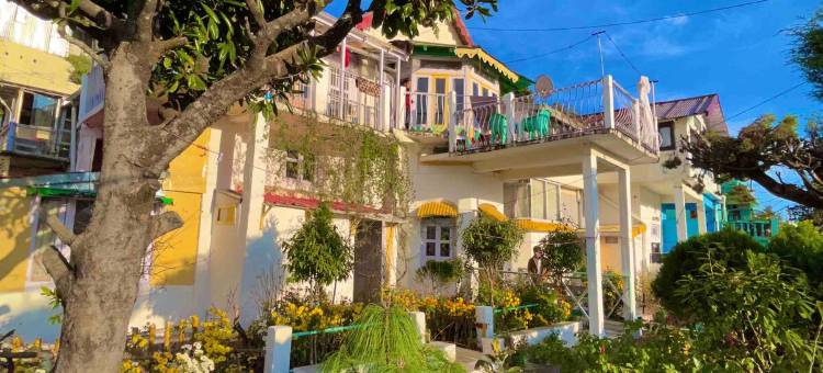 Prashant Homestay Nainital: Orchard图片