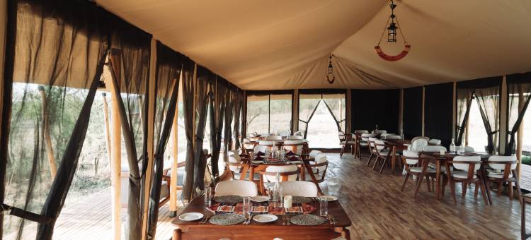 Kiriche Luxury Camp图片
