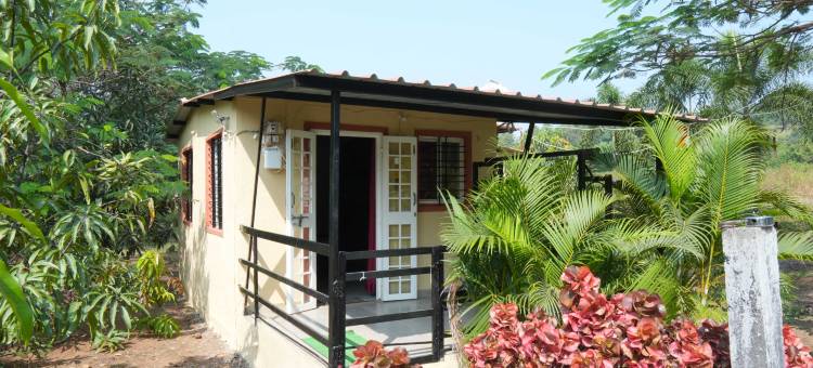 比马尔农场家居住宿(Bimal Farm Home Stay)图片