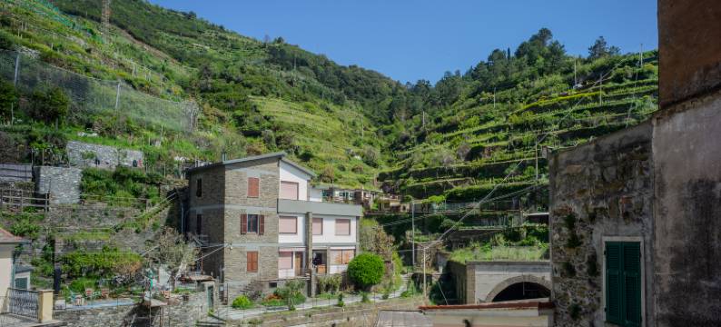 The Pastenello House图片