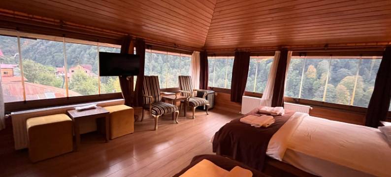 艾德尔酒店(Ayder Hotel)图片