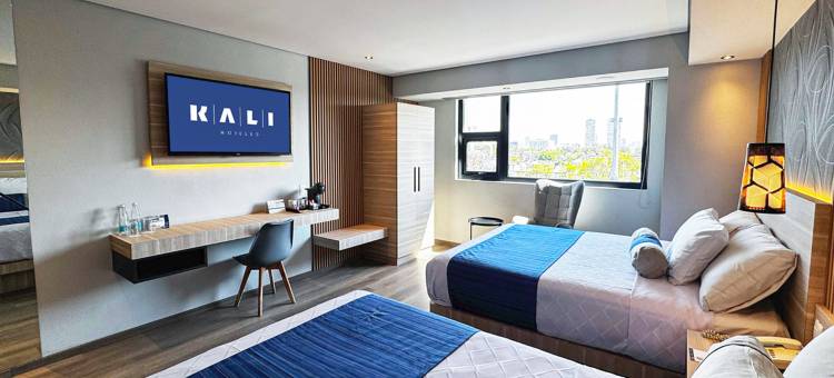 墨西哥城瓦耶霍卡利(Kali Vallejo Mexico City)图片